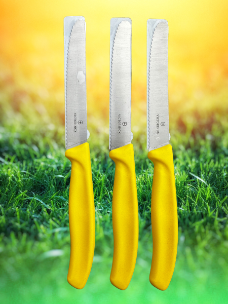 Victorinox 3 Stück im Set, gelb